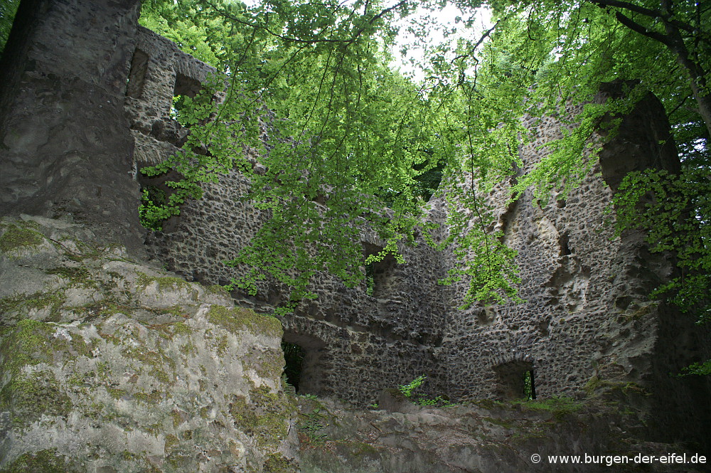 Burg Freudenkoppe