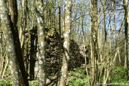 Burg Aremberg