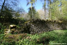 Burg Aremberg