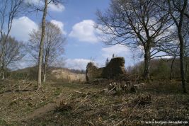 Burg Dreimühlen