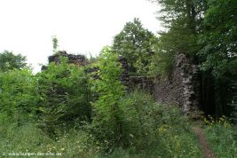 Burg Freudenkoppe