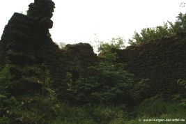 Burg Freudenkoppe