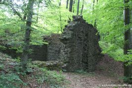 Burg Freudenkoppe