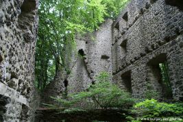 Burg Freudenkoppe
