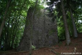 Burg Freudenkoppe