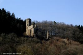 Burg Neublankenheim