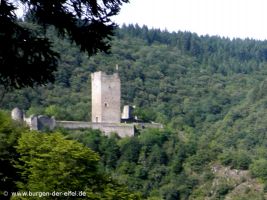 Oberburg in Manderscheid
