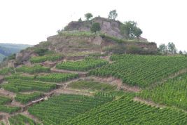 Saffenburg (Mayschoß)